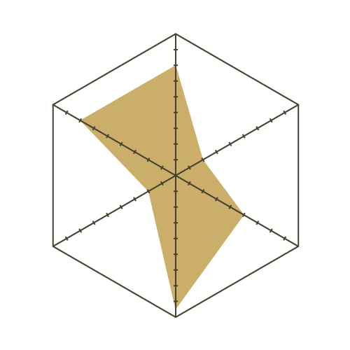 S93白-六邊形.png