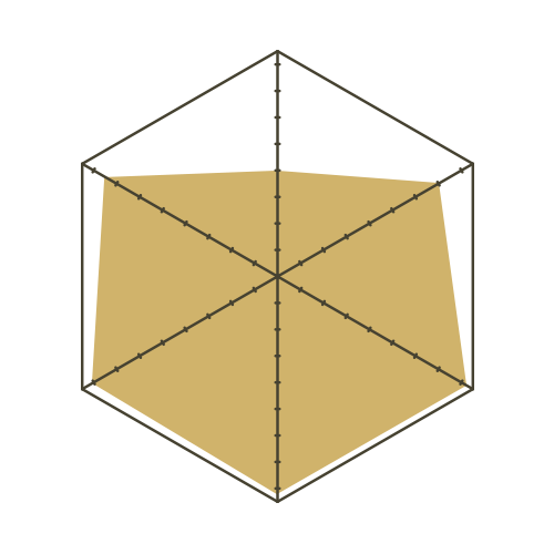 S93白-六邊形.png