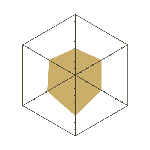 S93白-六邊形.png