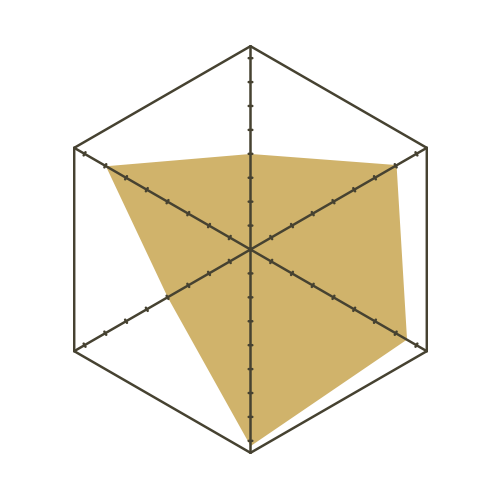 S93白-六邊形.png