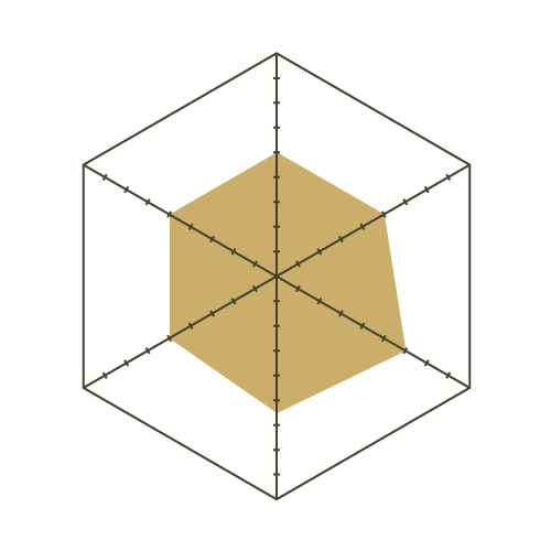 S93白-六邊形.png
