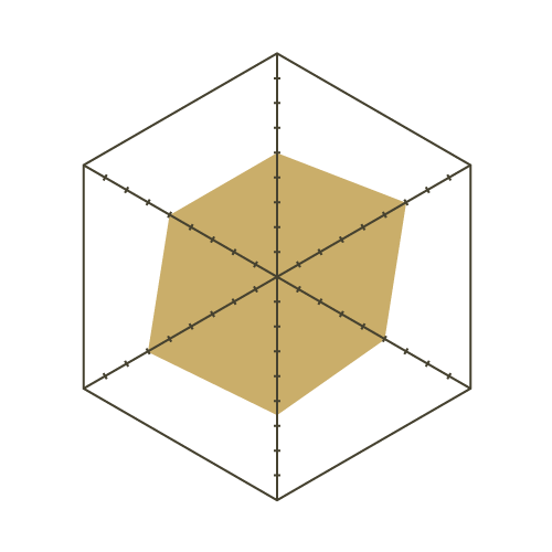 S93白-六邊形.png