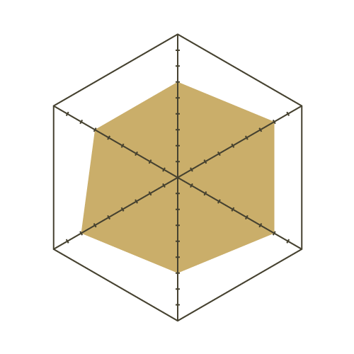 S93白-六邊形.png