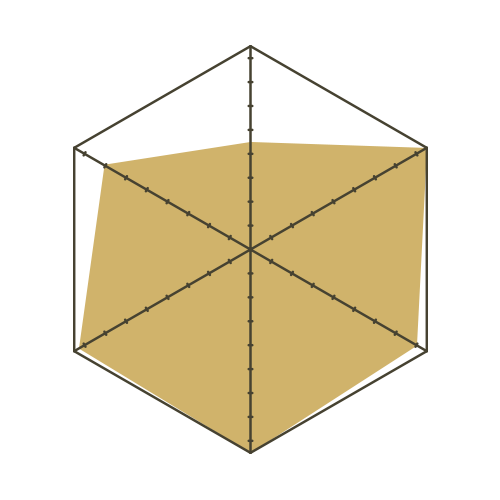 S93白-六邊形.png