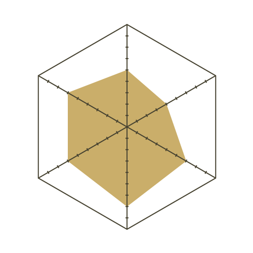 S93白-六邊形.png