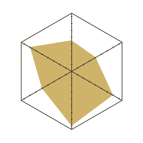 S93白-六邊形.png