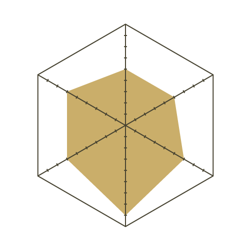 S93白-六邊形.png