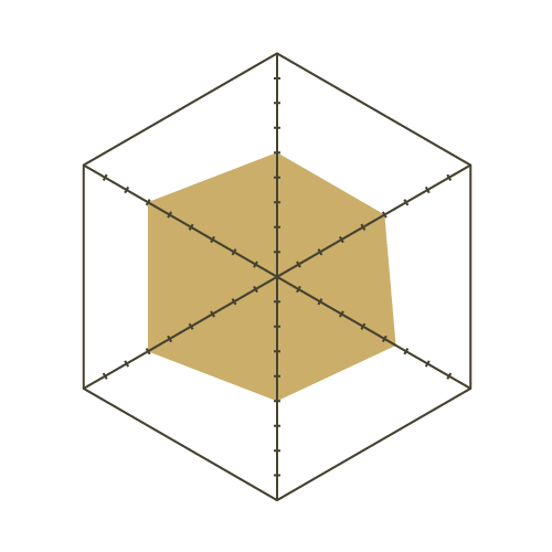 S93白-六邊形.png
