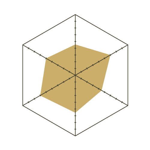 S93白-六邊形.png